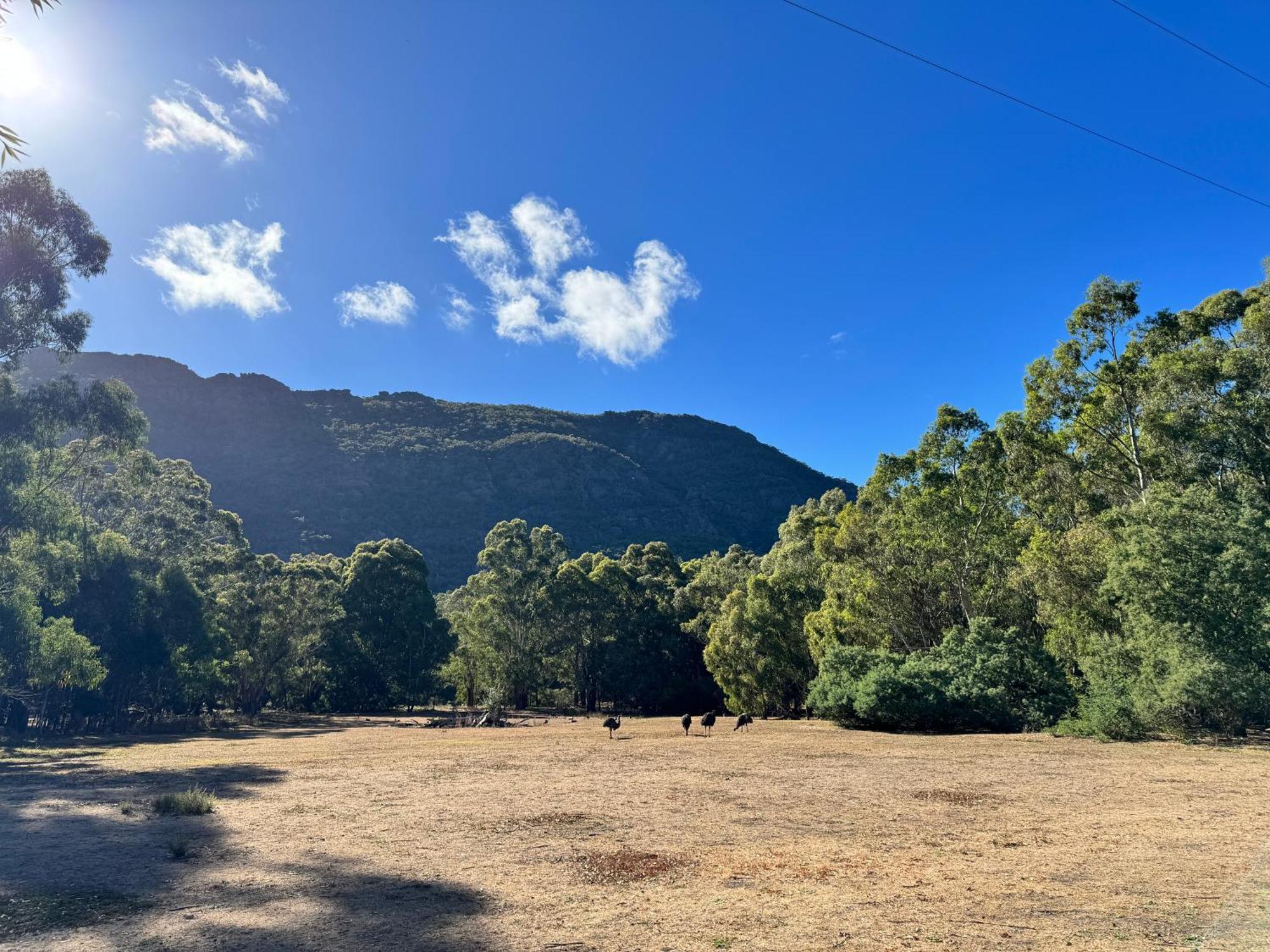 Halls Gap Log Cabins Екстериор снимка