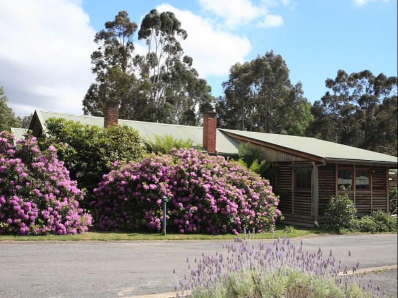 Halls Gap Log Cabins Екстериор снимка