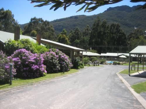 Halls Gap Log Cabins Екстериор снимка